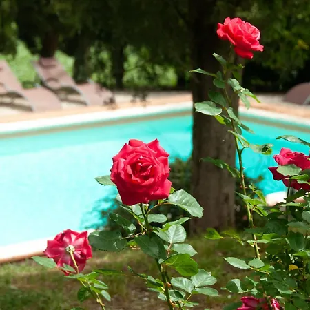 Tenuta Sospesa - Exclusive Villa, Pool & Party Barn Near Tuscany * Pietrafitta (Perugia)