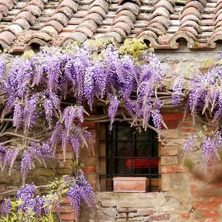 Tenuta Sospesa - Exclusive Villa, Pool & Party Barn Near Tuscany Vila Pietrafitta (Perugia)